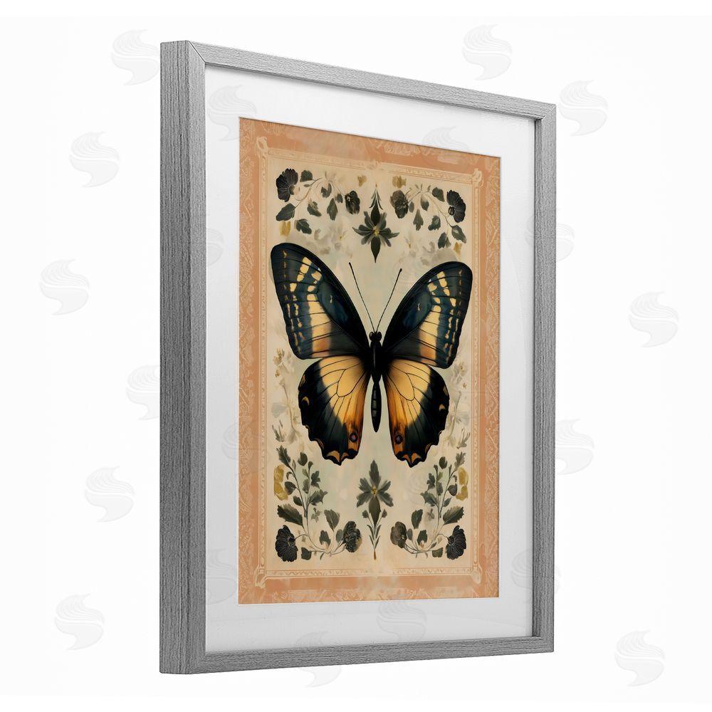 Arlington Prints Vintage Butterfly Botanical Illustration Gray Framed Print Under Glass with White Mat Wall Art