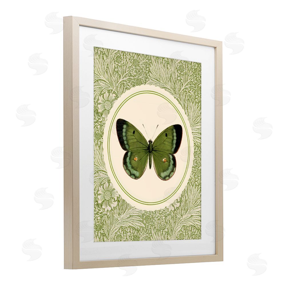 LSR Design Studio Green Butterfly Botanical Medallion Brown Framed Print Under Glass Wall Art