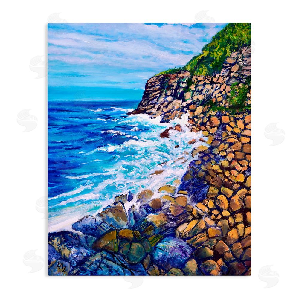 Lee Ann Zirbes Cliffside Ocean Spray Stretched Canvas Wall Art Print