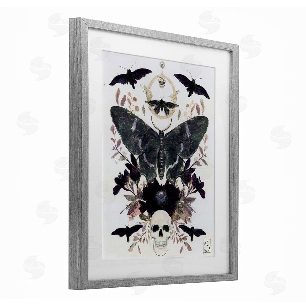 Sara Culpepper Gothic Symmetrical Moth Tarot Gray Framed Print Under Glass with White Mat Wall Art