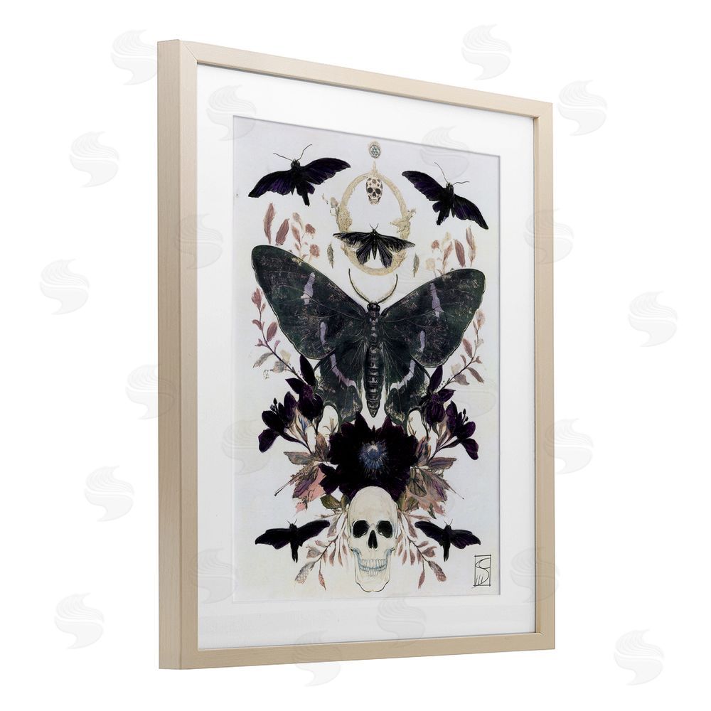 Sara Culpepper Gothic Symmetrical Moth Tarot Birch Framed Print Under Glass with White Mat Wall Art
