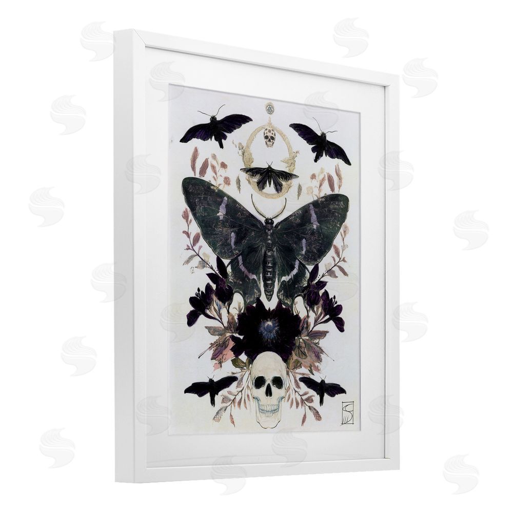 Sara Culpepper Gothic Symmetrical Moth Tarot White Framed Print Under Glass with Mat Wall Art