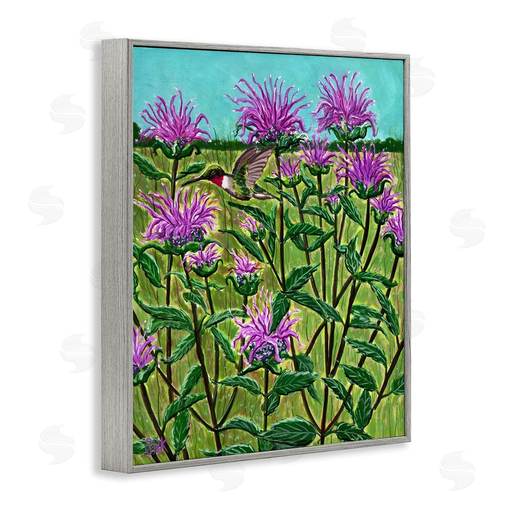 Sarah Waldron Kimball Ruby Throated Hummingbird & Beebalm Gray Framed Giclee Wall Art Print