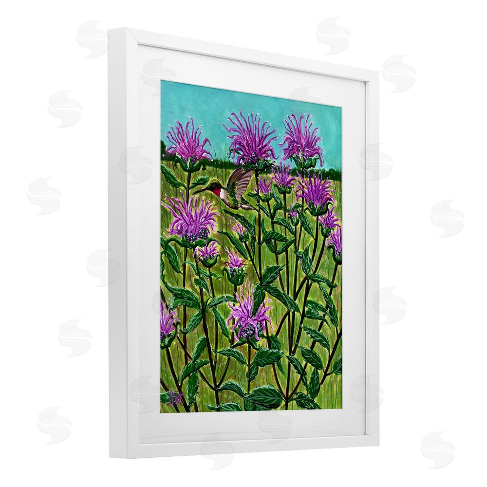 Sarah Waldron Kimball Ruby Throated Hummingbird & Beebalm White Framed Print Under Glass Wall Art