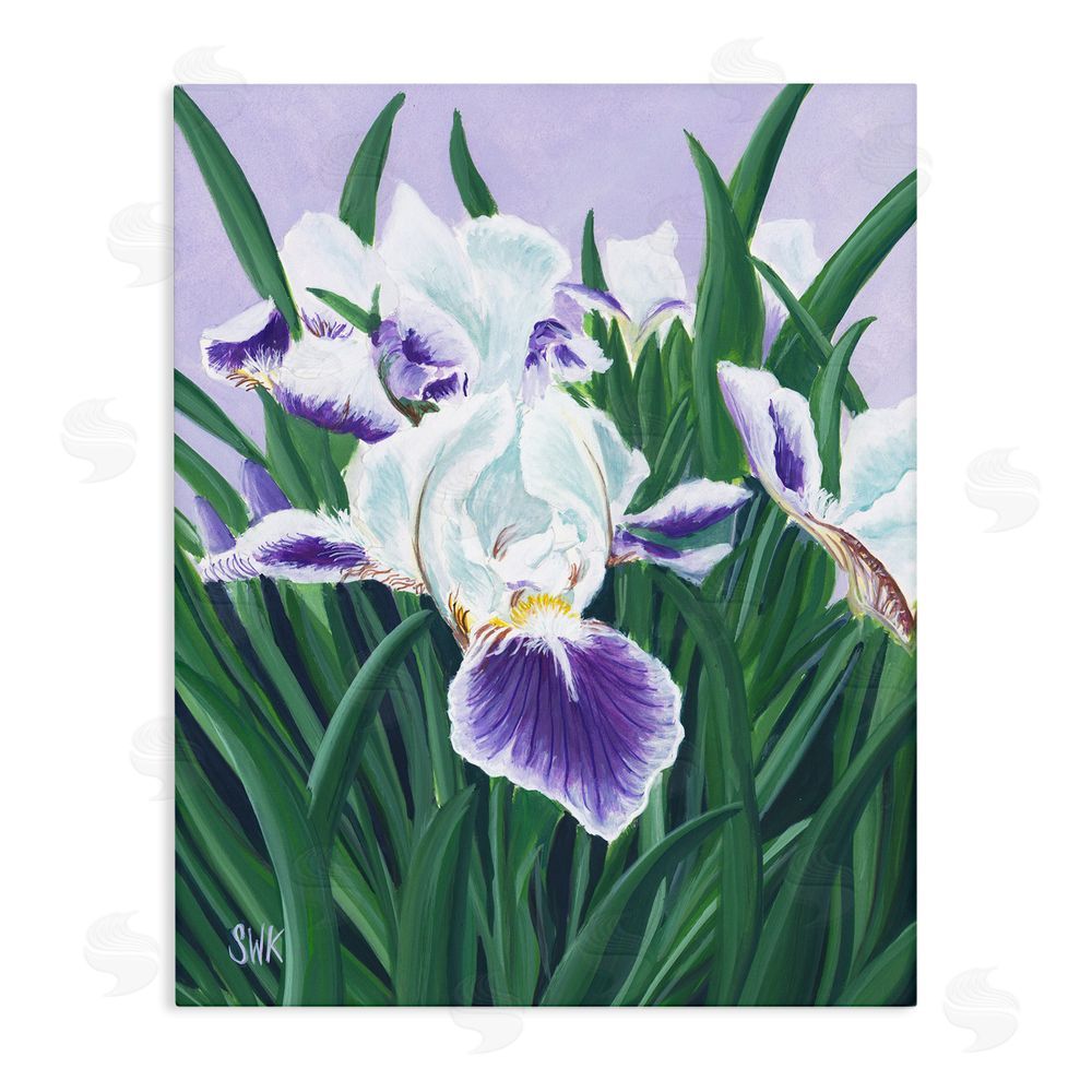 Sarah Waldron Kimball Purple & White Irises Stretched Canvas Wall Art Print