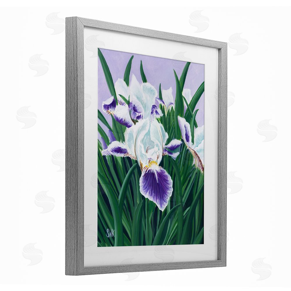 Sarah Waldron Kimball Purple & White Irises Gray Framed Print Under Glass Wall Art
