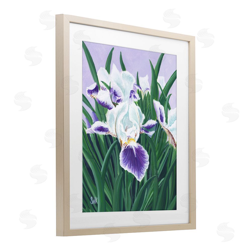 Sarah Waldron Kimball Purple & White Irises Brown Framed Print Under Glass Wall Art