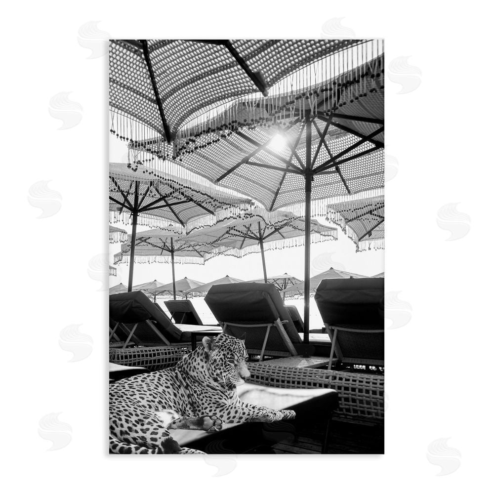 Grotto Studios Leopard On Tropical Vacation Stretched Canvas Wall Art