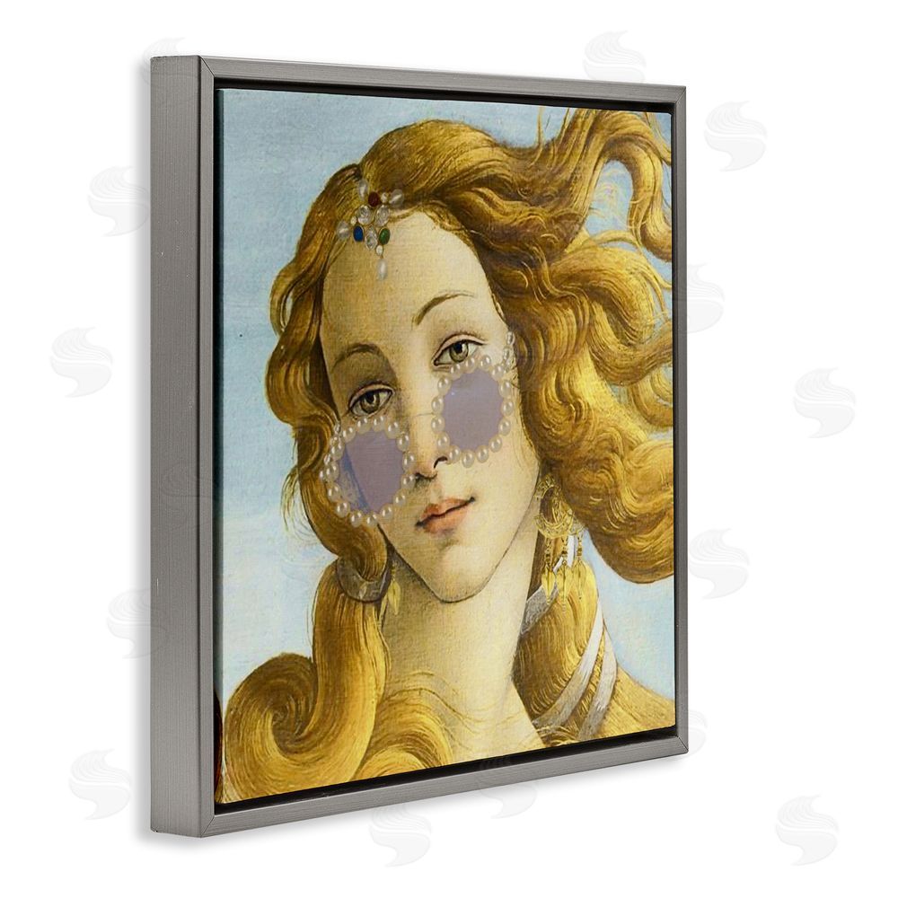 Grotto Studios Modern Day Venus Shades Gray Floating Frame Canvas Wall Art Print