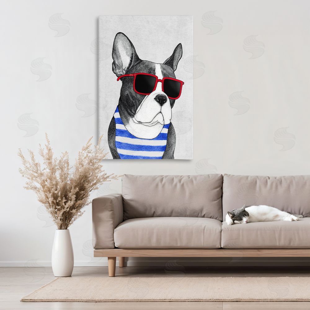 Barruff Frenchie Summer Style 