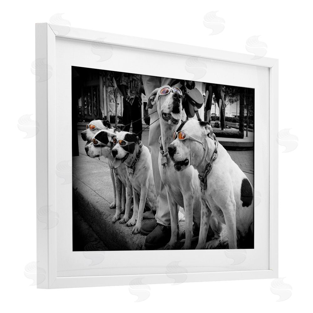 Scott Henderson Afternoon Stroll Pups White Framed Print Under Glass Wall Art