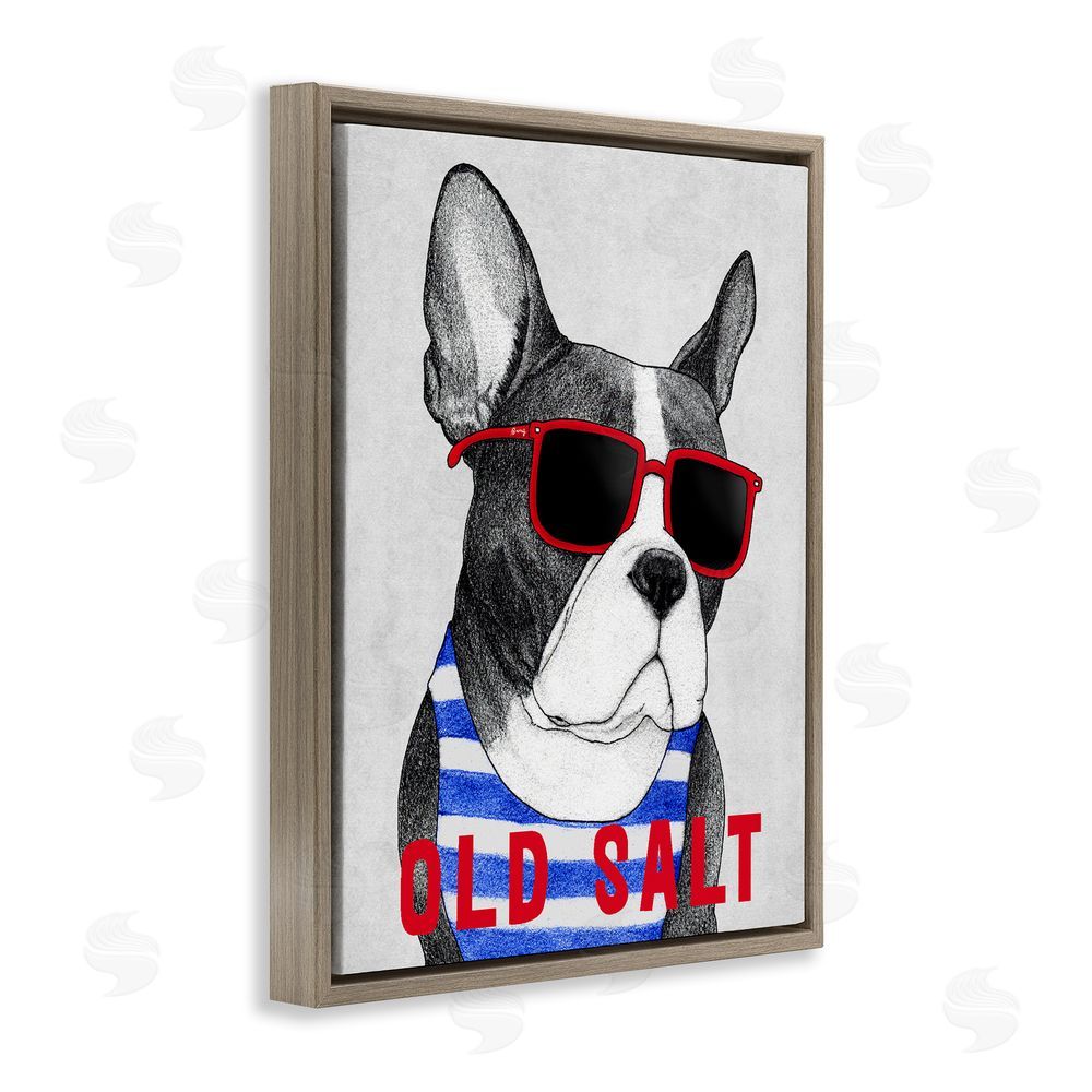 Barruff Old Salt Summer Frenchie Brown Floating Frame Canvas Wall Art Print