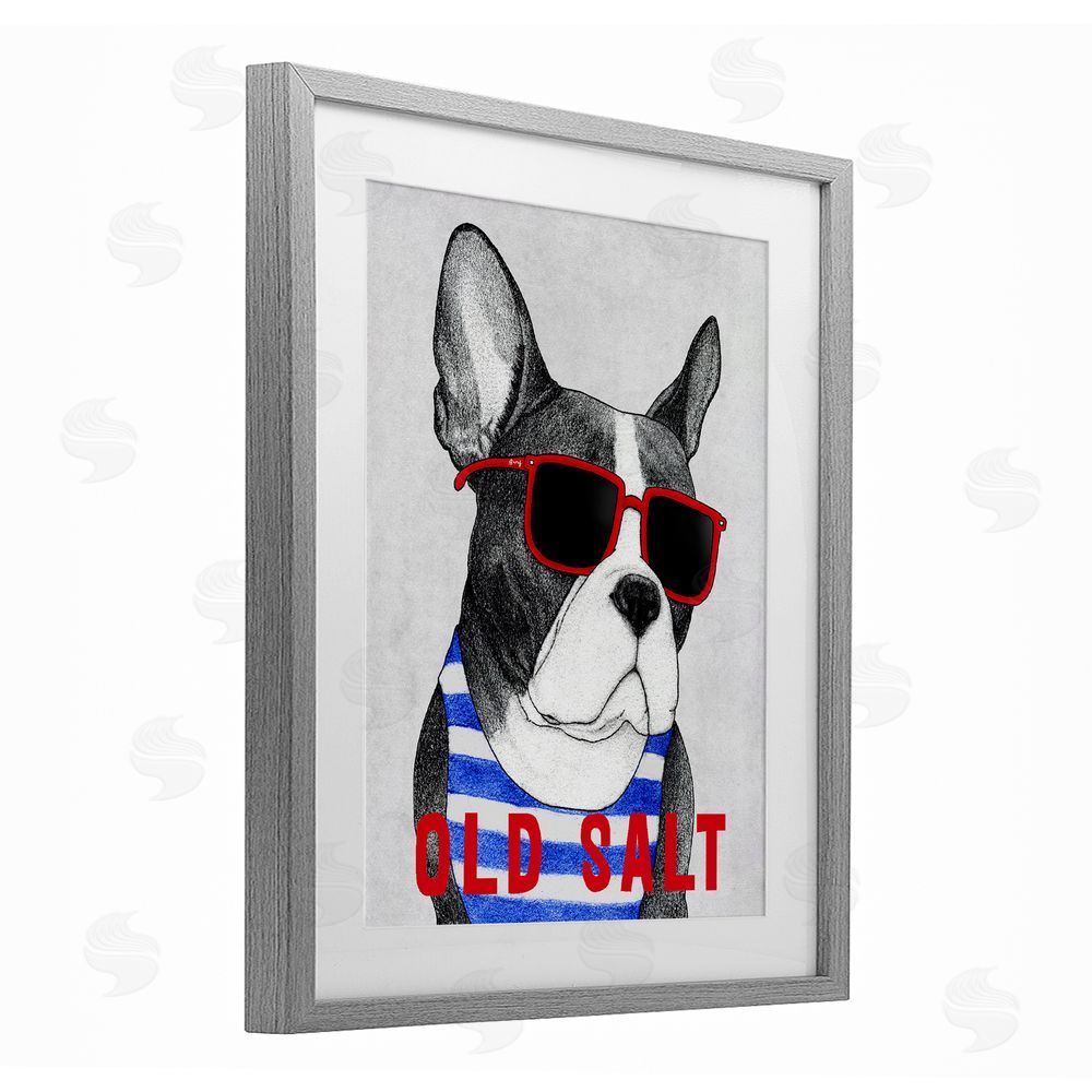 Barruff Old Salt Summer Frenchie Gray Framed Print Under Glass Wall Art