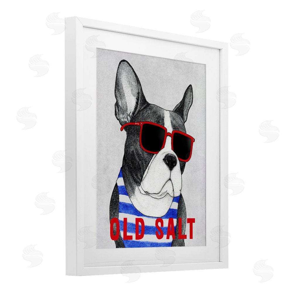 Barruff Old Salt Summer Frenchie White Framed Print Under Glass Wall Art