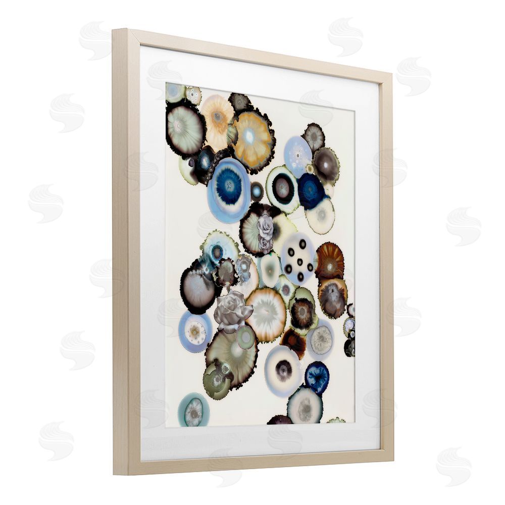 Laura Van Horne Clustered Geodes and Roses Brown Framed Print Under Glass Wall Art