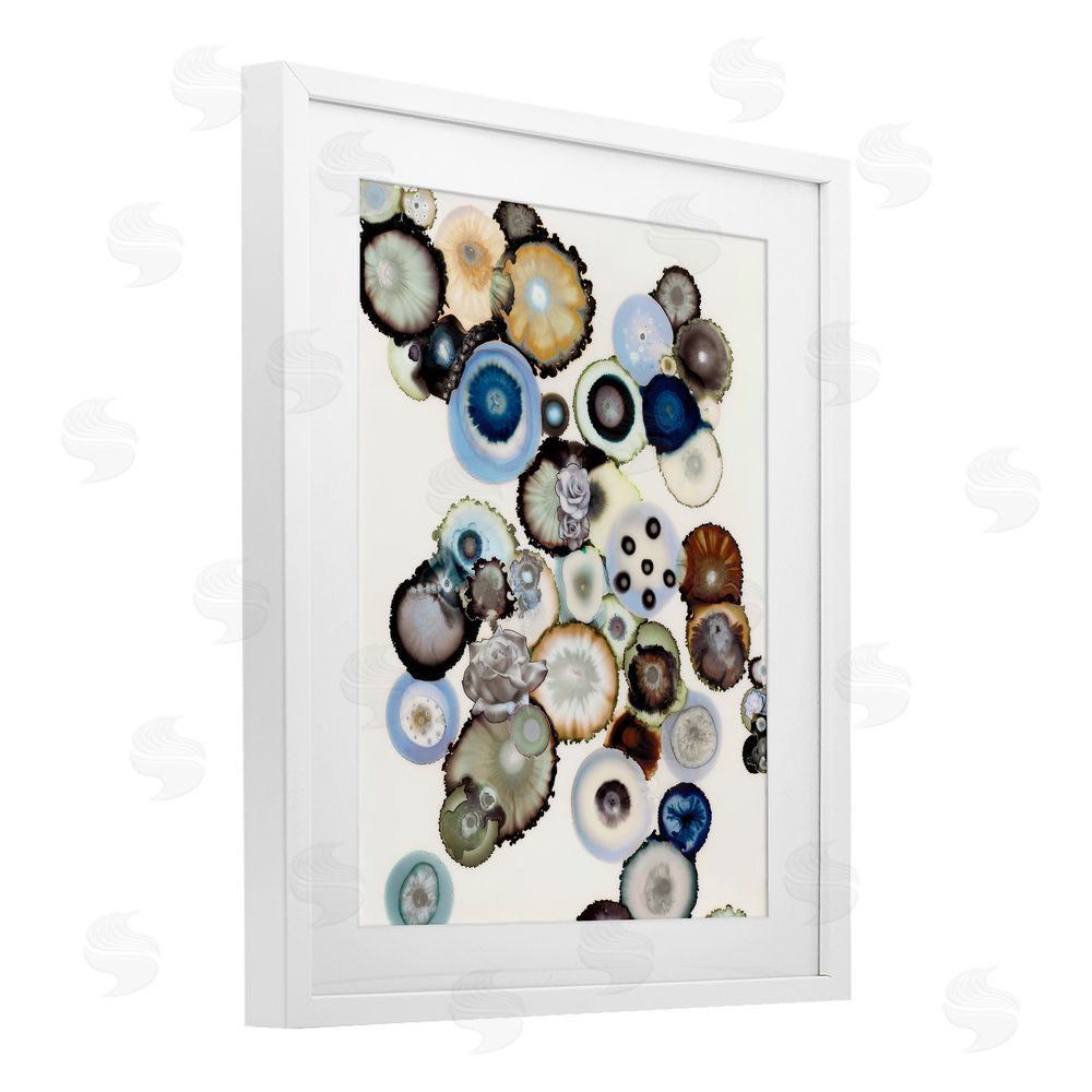 Laura Van Horne Clustered Geodes and Roses White Framed Print Under Glass Wall Art