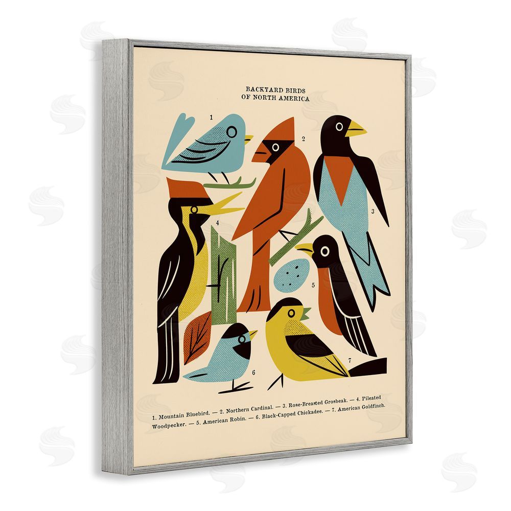 Renea L. Thull Backyard Birds Midcentury Modern Gray Framed Giclee Print Wall Art