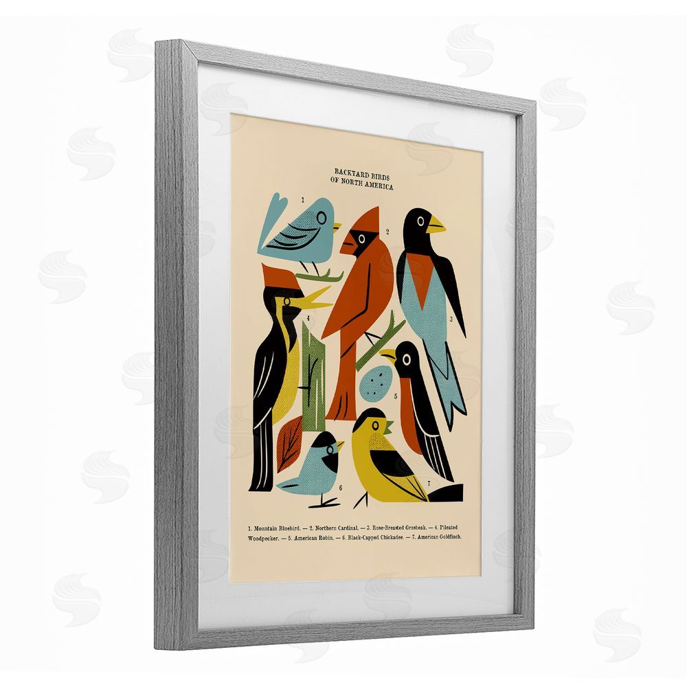 Renea L. Thull Backyard Birds Midcentury Modern Gray Framed Print Under Glass Wall Art