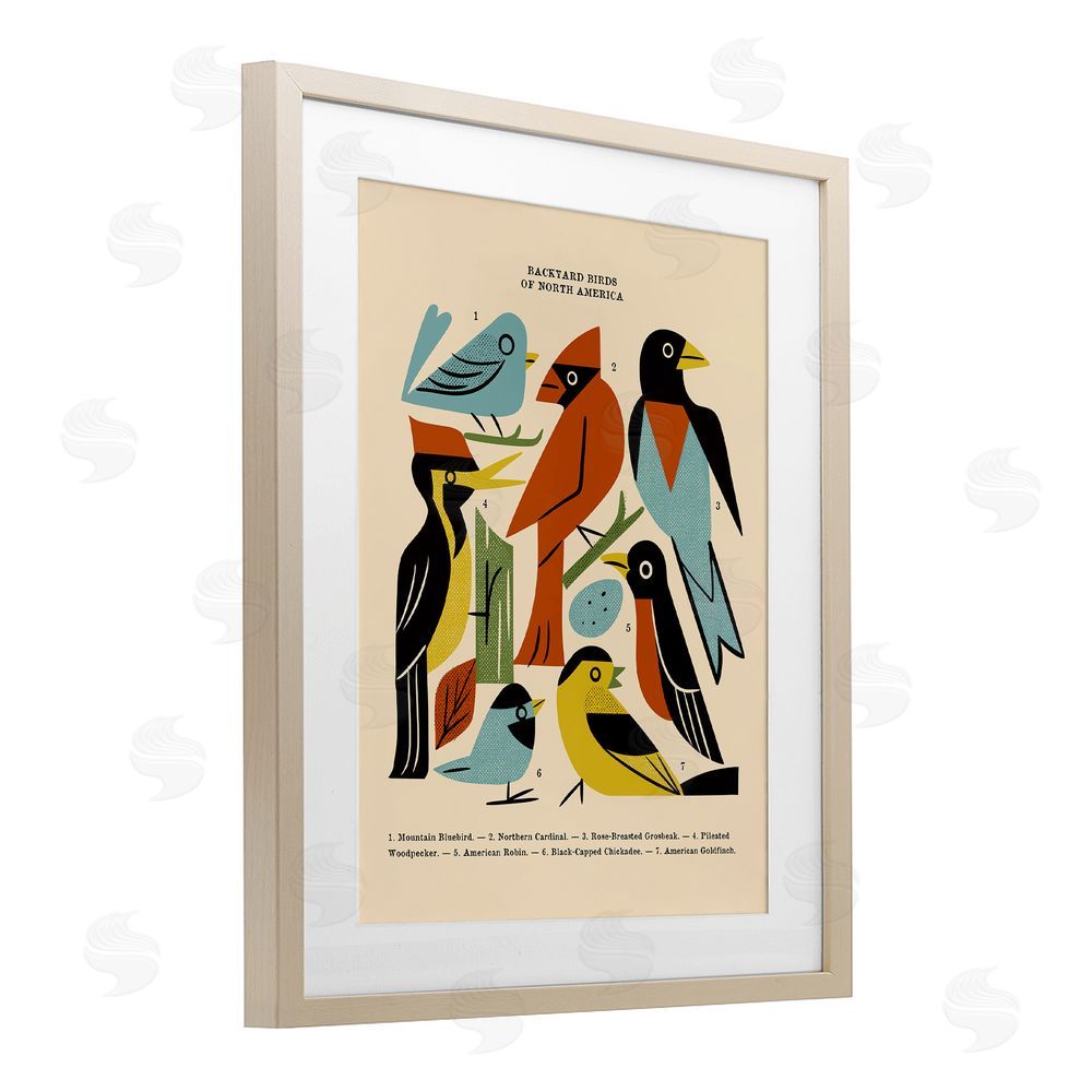 Renea L. Thull Backyard Birds Midcentury Modern Brown Framed Print Under Glass Wall Art