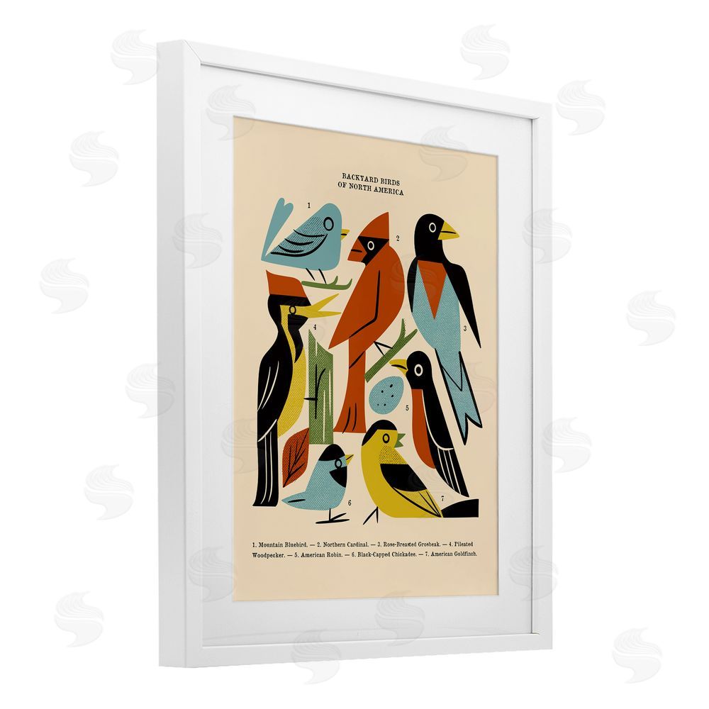 Renea L. Thull Backyard Birds Midcentury Modern White Framed Print Under Glass Wall Art