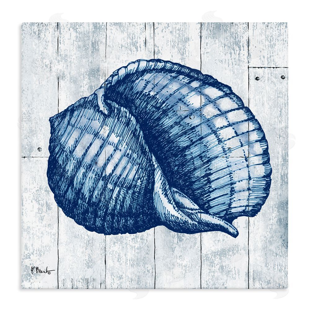 Paul Brent Coastal Timberland Shell Stretched Canvas Wall Art