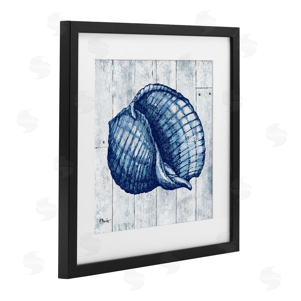 Paul Brent Coastal Timberland Shell Black Framed Print Under Glass Wall Art