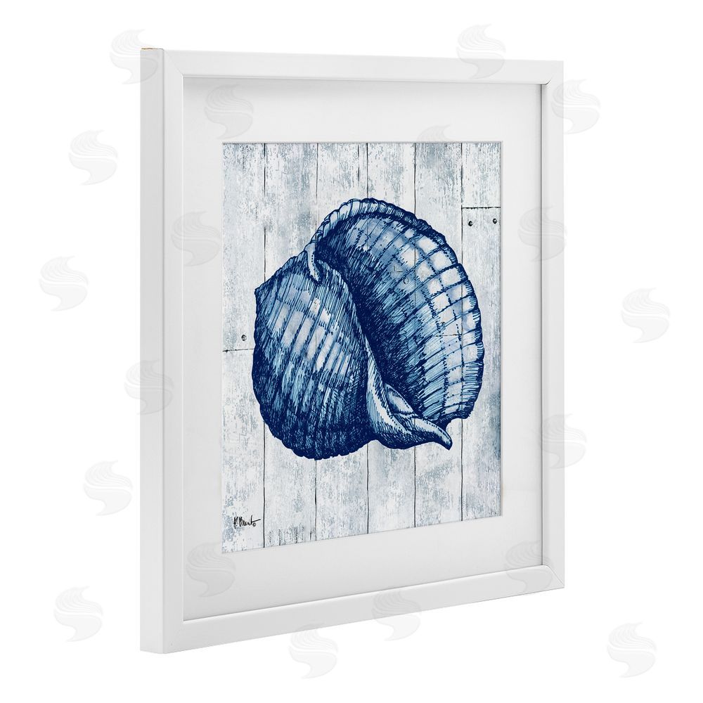 Paul Brent Coastal Timberland Shell White Framed Print Under Glass Wall Art