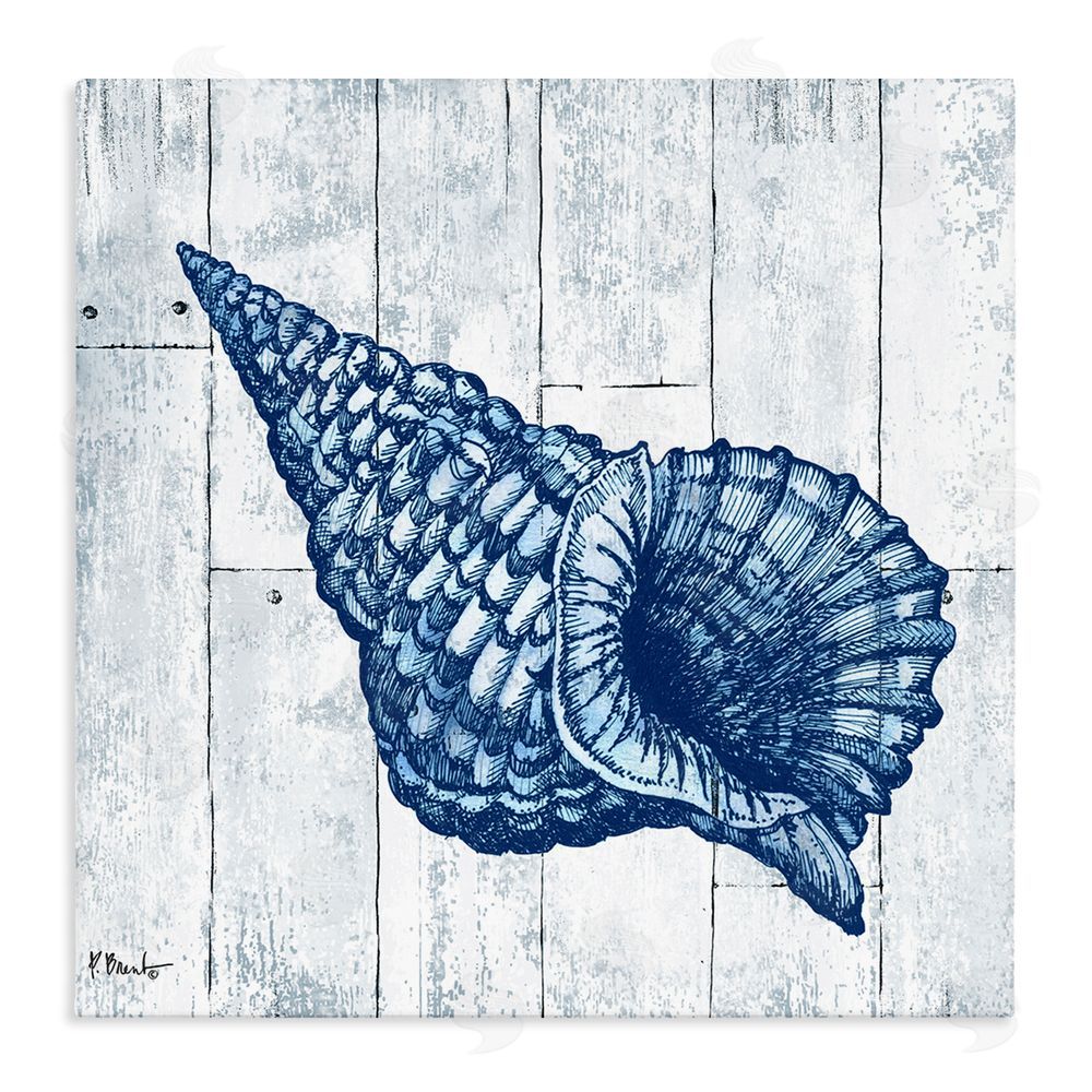 Paul Brent Coastal Timberland Conch Stretched Canvas Wall Art