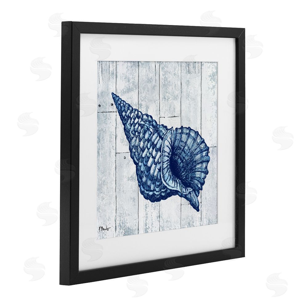 Paul Brent Coastal Timberland Conch Black Framed Print Under Glass Wall Art