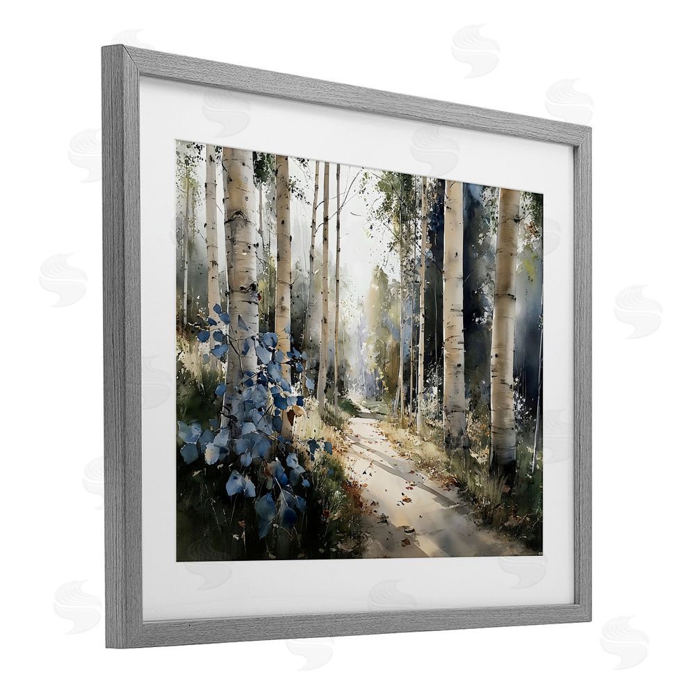 Franklyn Gregory Blue Birch Sunlit Forest Gray Framed Print Under Glass with Matting Wall Art