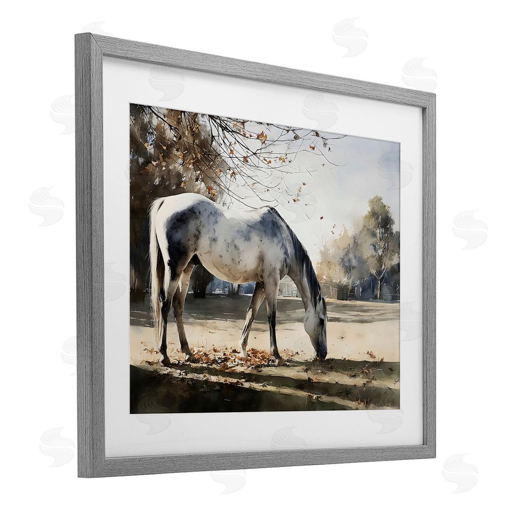 Franklyn Gregory Grey & White Mare Grazing Gray Framed Print Under Glass Wall Art