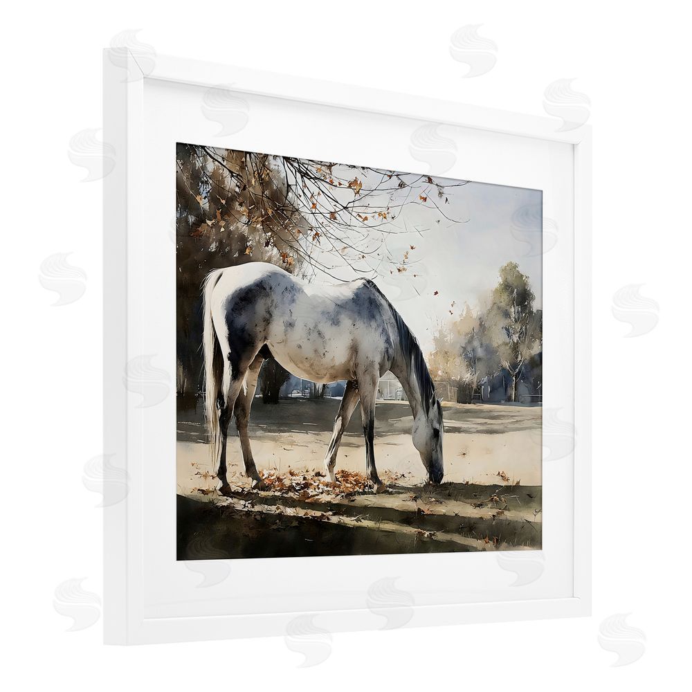 Franklyn Gregory Grey & White Mare Grazing White Framed Print Under Glass Wall Art