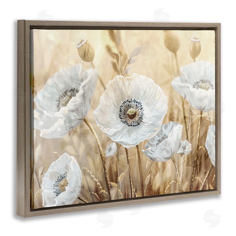 Kim Allen White Poppies Beige Field Brown Floating Frame Canvas Wall Art Print