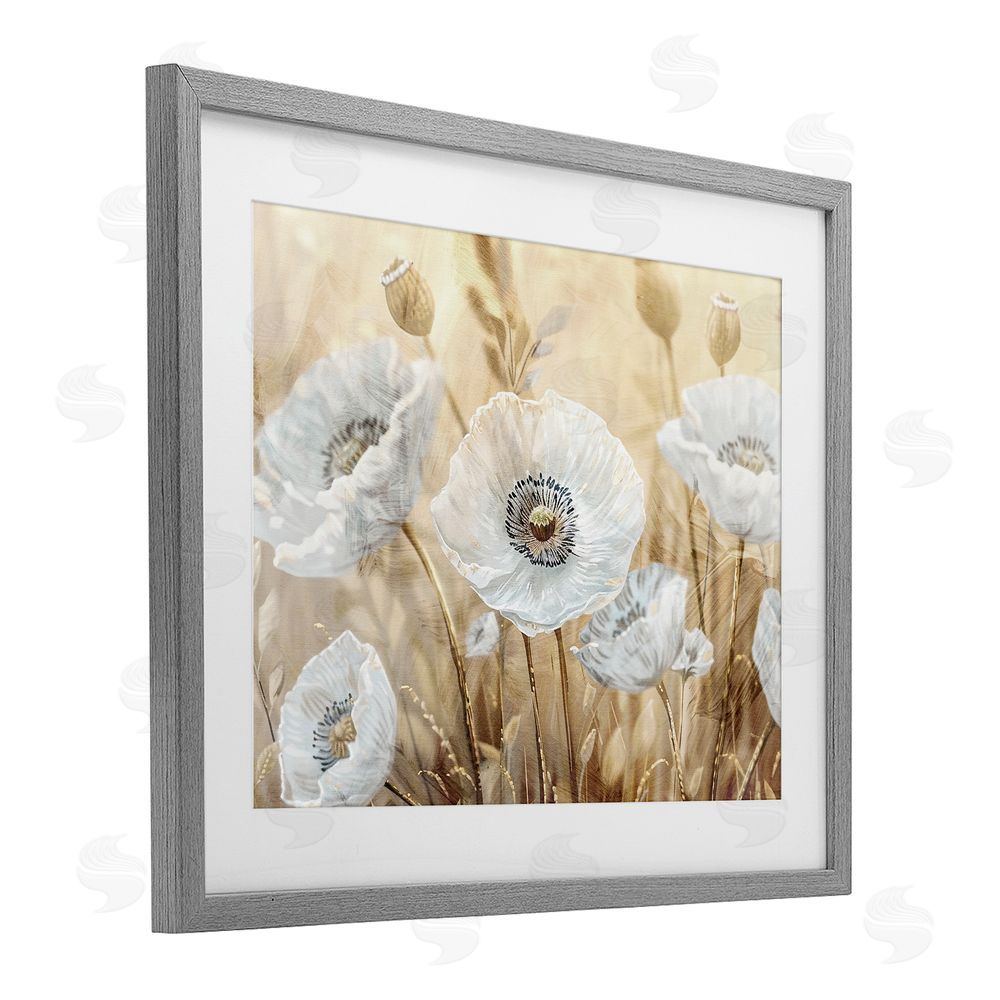 Kim Allen White Poppies Beige Field Gray Framed Print Under Glass Wall Art