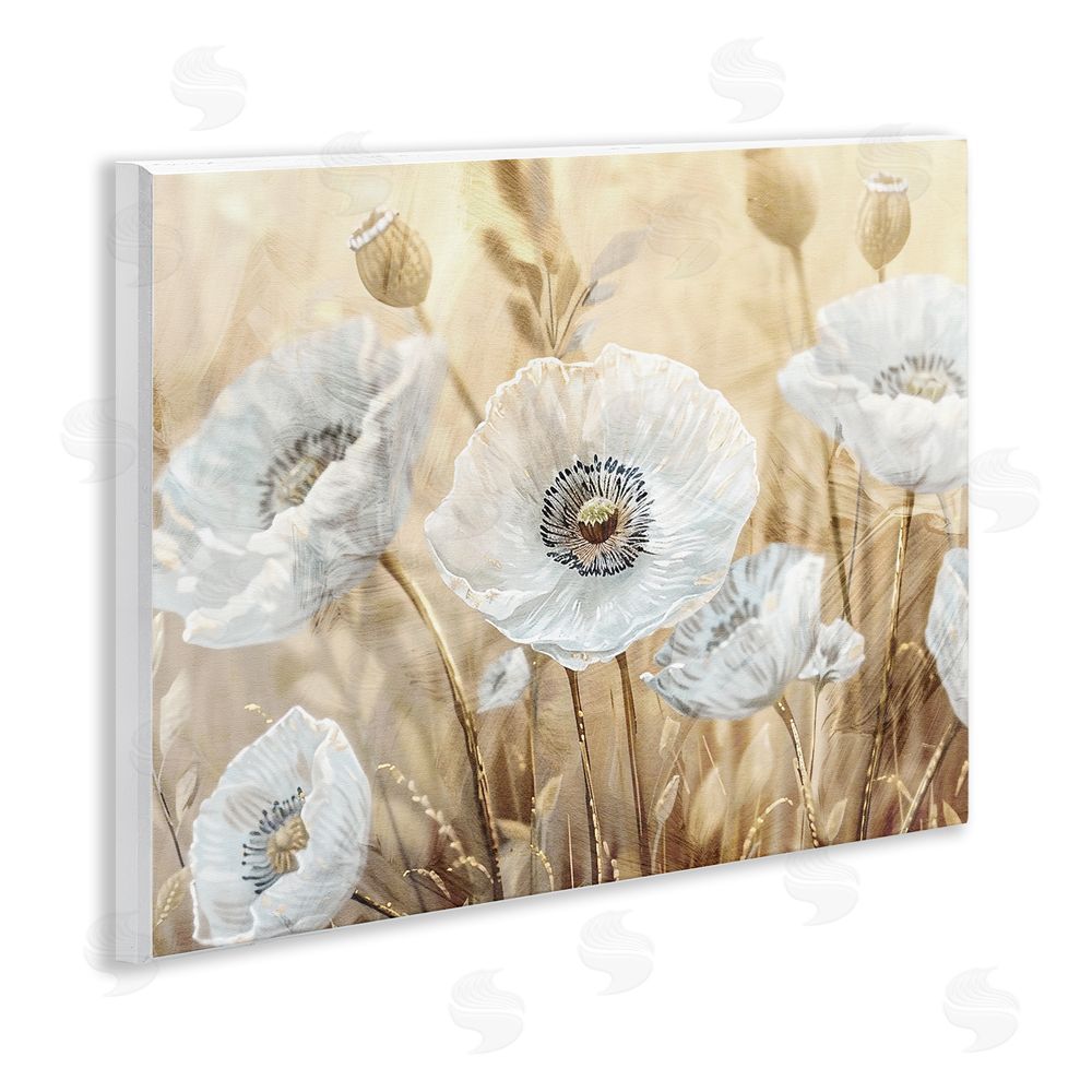 Kim Allen White Poppies Beige Field Wooden Wall Plaque Art Print