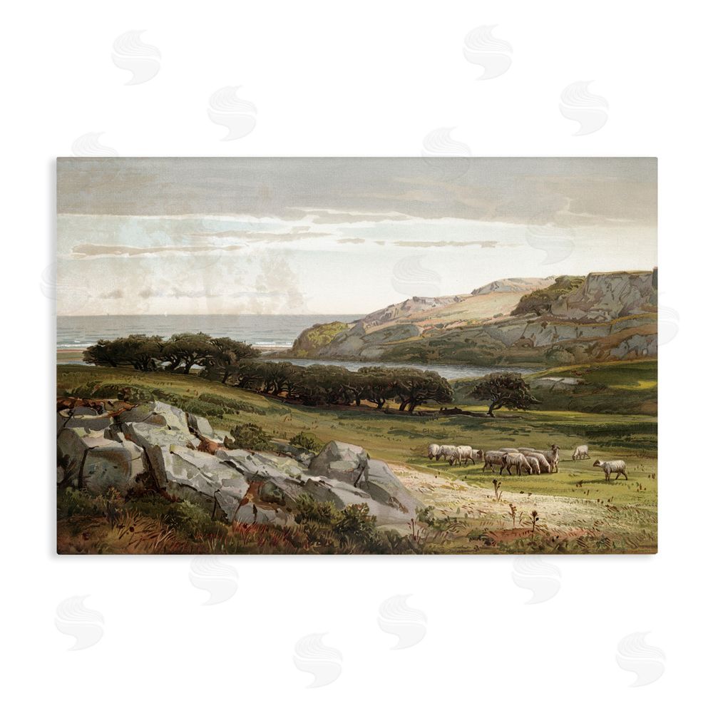Lula Bijoux & co. Sheep in Passionate Landscape Stretched Canvas Wall Art Print