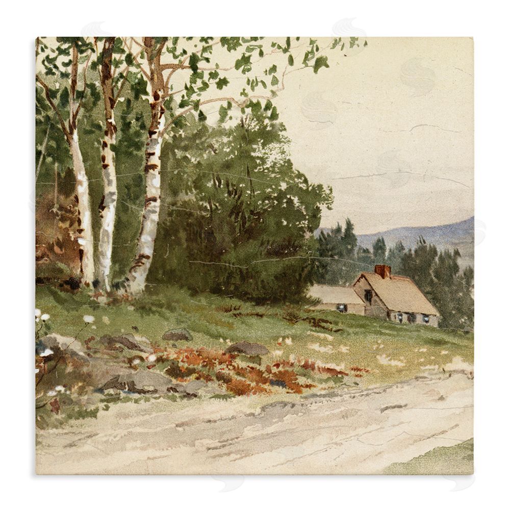 Lula Bijoux & co. Farm House Dirt Road Stretched Canvas Wall Art Print