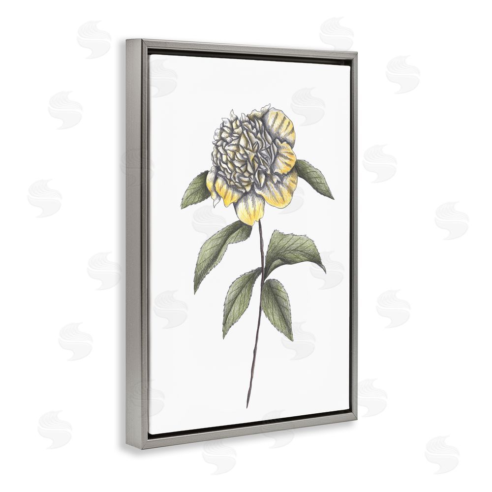 Cecilia Battaini Camellia Flower Illustration Gray Floating Frame Canvas Wall Art Print