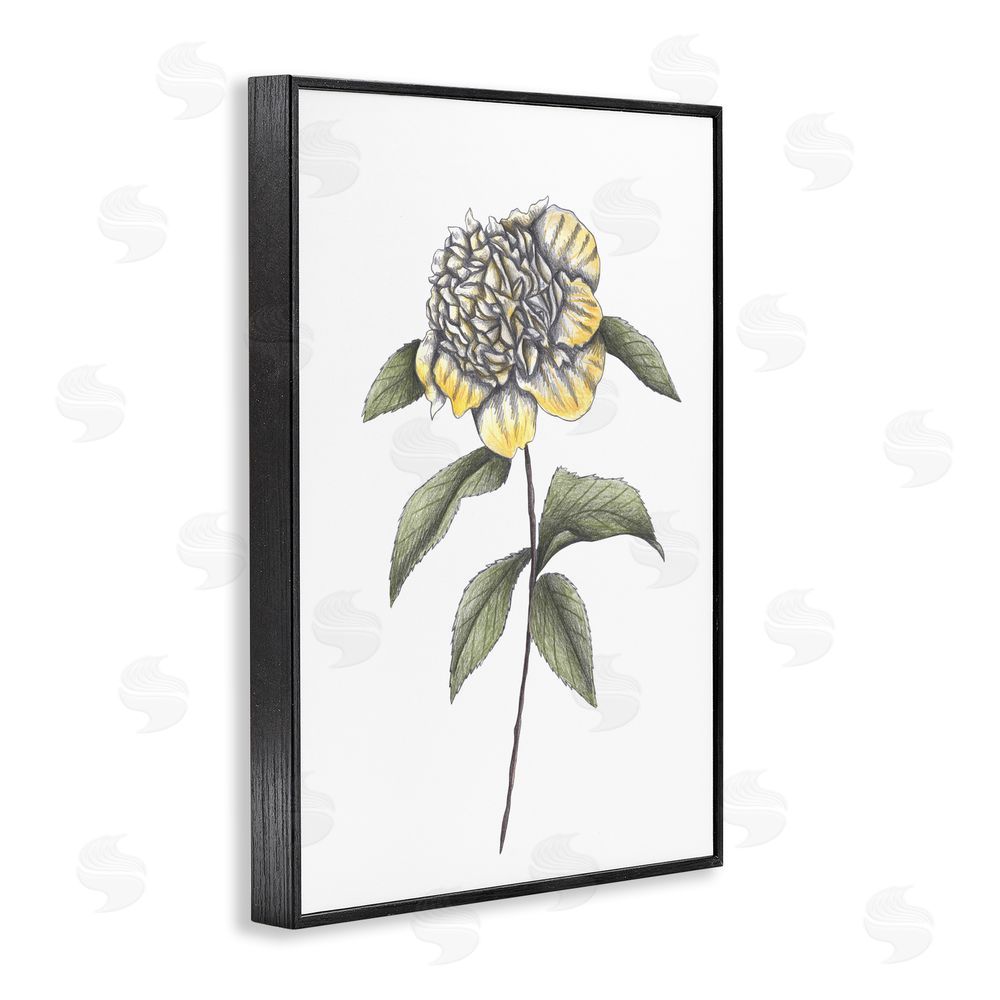 Cecilia Battaini Camellia Flower Illustration Black Framed Giclee Print Wall Art