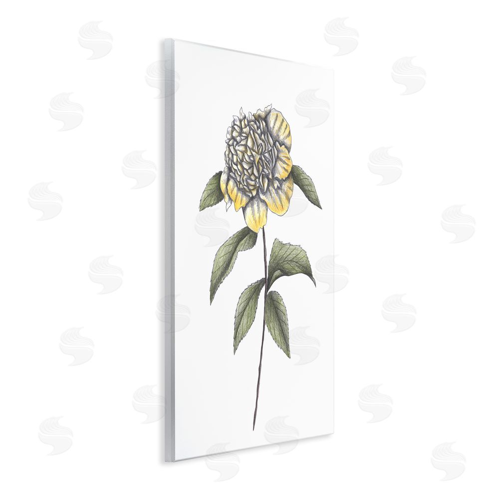 Cecilia Battaini Camellia Flower Illustration Wooden Wall Plaque Art Print