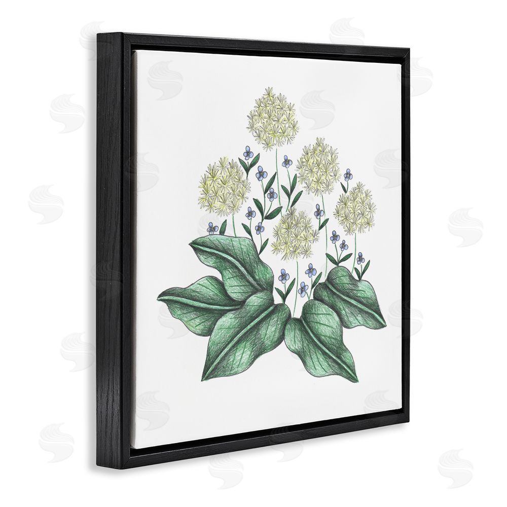 Cecilia Battaini Hello Wildflower Vintage Sketch Black Floating Frame Canvas Wall Art Print