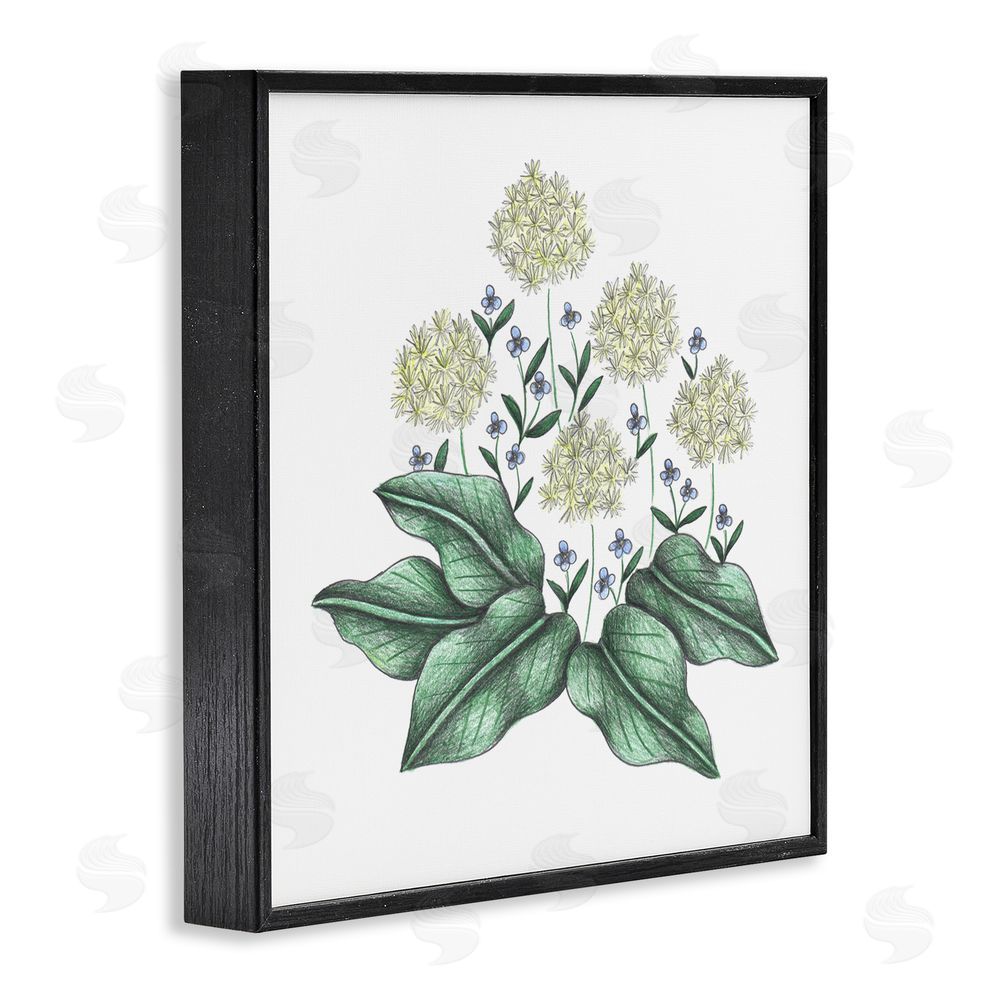 Cecilia Battaini Hello Wildflower Vintage Sketch Black Framed Giclee Print Wall Art