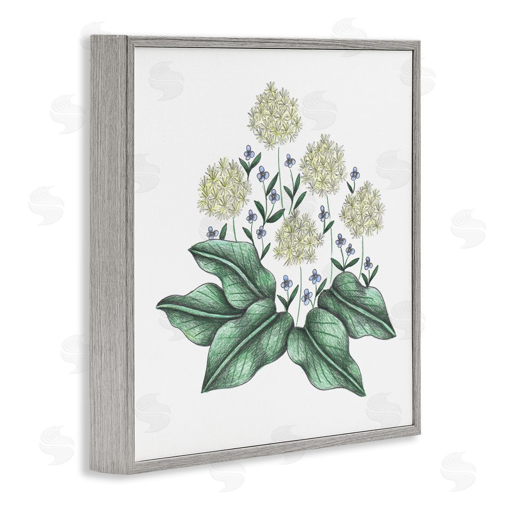 Cecilia Battaini Hello Wildflower Vintage Sketch Gray Framed Giclee Print Wall Art