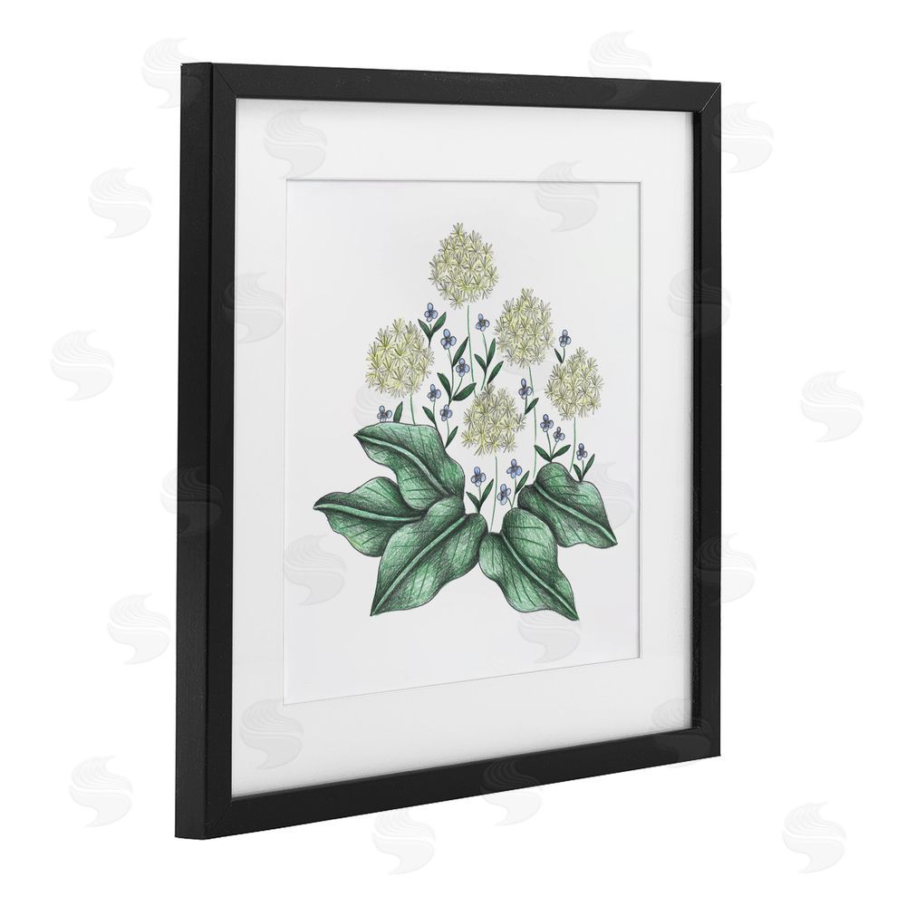 Cecilia Battaini Hello Wildflower Vintage Sketch Black Framed Print Under Glass Wall Art