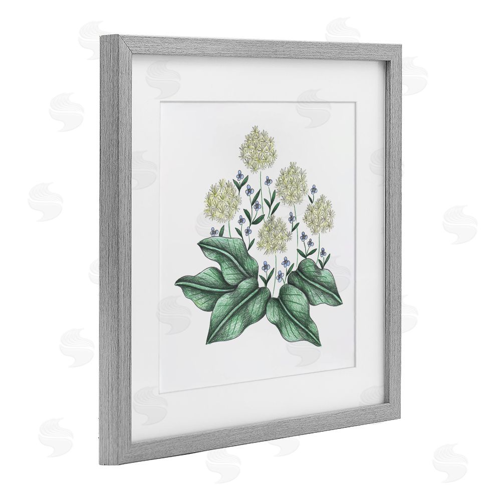Cecilia Battaini Hello Wildflower Vintage Sketch Gray Framed Print Under Glass Wall Art
