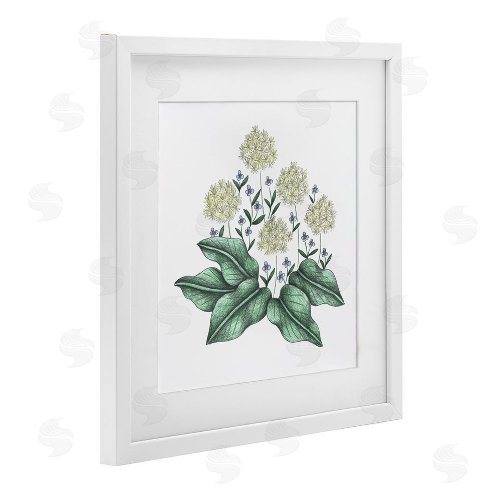 Cecilia Battaini Hello Wildflower Vintage Sketch White Framed Print Under Glass Wall Art