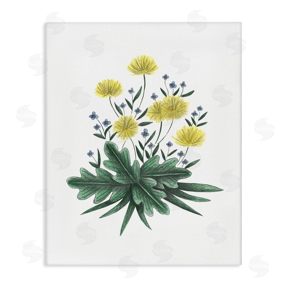 Cecilia Battaini Dandelion Flower Illustration Stretched Canvas Wall Art Print