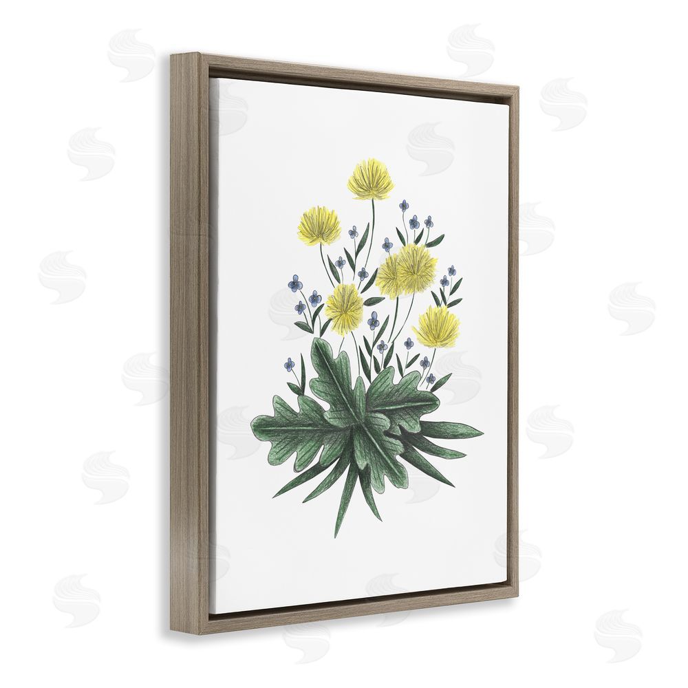 Cecilia Battaini Dandelion Flower Illustration Brown Floating Frame Canvas Wall Art Print