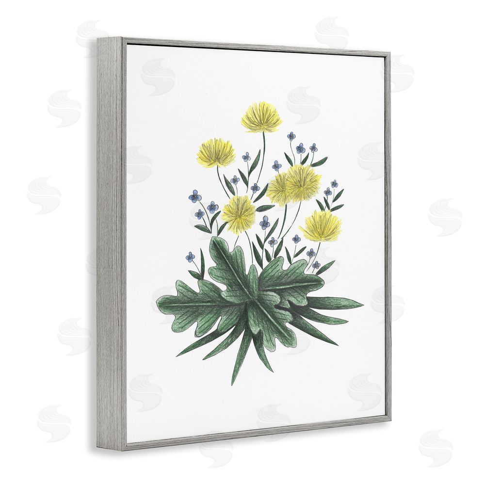 Cecilia Battaini Dandelion Flower Illustration Gray Framed Giclee Print Wall Art