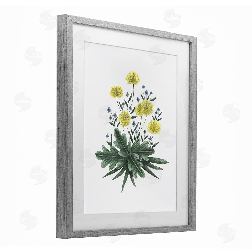 Cecilia Battaini Dandelion Flower Illustration Gray Framed Print Under Glass Wall Art